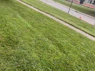 Kendra K.'s lawn service service result