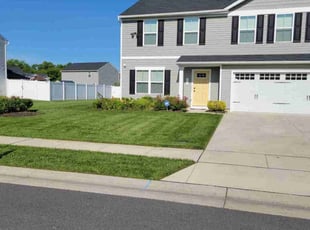 Mandy H.'s turf care service result