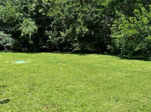 Caleb T.'s turf maintenance service result