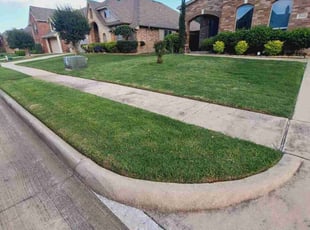 Beth C.'s landscaping service result