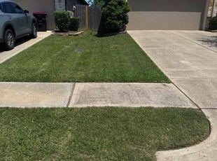 Ahmed A.'s lawn care service result