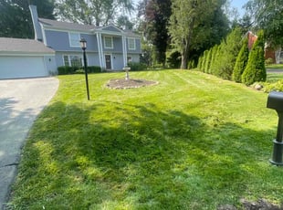 John M.'s grass cutting service result