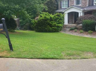 Fatima M.'s lawn care service result