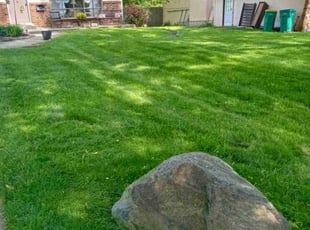 Elizabeth B.'s grass cutting service result