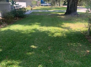 Iryna S.'s grass maintenance service result