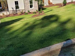 Samantha G.'s lawn maintenance service result