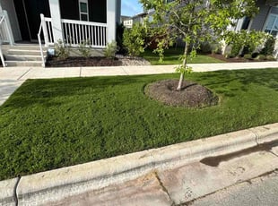 Katherine S.'s grass cutting service result