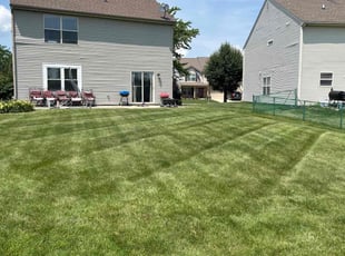 George M.'s grass cutting service result