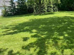 Brad H.'s lawn maintenance service result