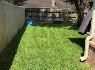 Demetrius J.'s lawn care service result