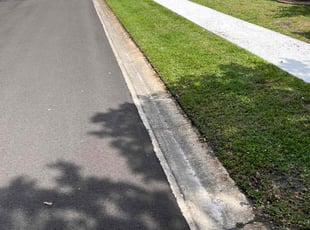 Jose R.'s grass maintenance service result