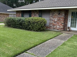 Mimi J.'s Bush Trimming service result