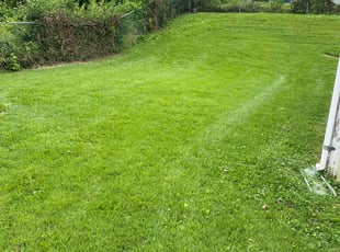 Monica N.'s grass maintenance service result