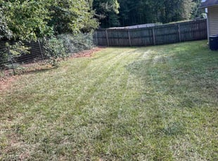 Mary K.'s lawn care services service result
