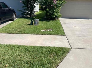 Wayne P.'s grass maintenance service result