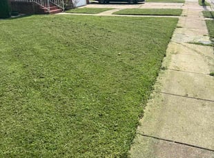 Xiomara S.'s lawn care services service result