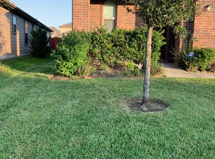 Darrick M.'s lawn service service result