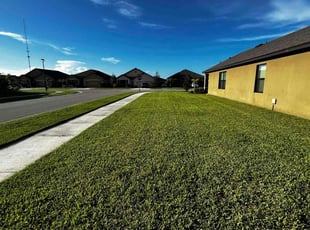Sabrina S.'s turf maintenance service result
