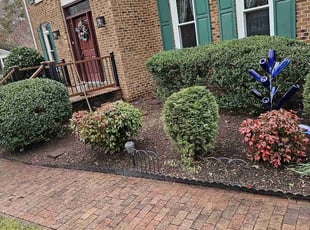 Azterrah B.'s Bush Trimming service result