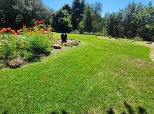 Timothy H.'s turf care service result