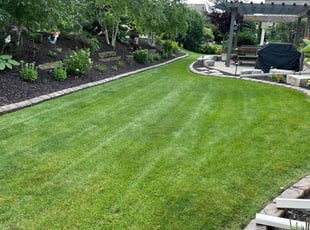 Kevin G.'s lawn service service result