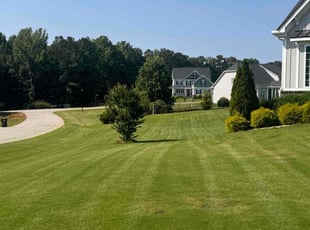 Derrick S.'s lawn care service result