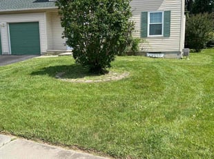 Stephan H.'s grass maintenance service result