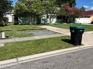 Patricia B.'s lawn maintenance service result
