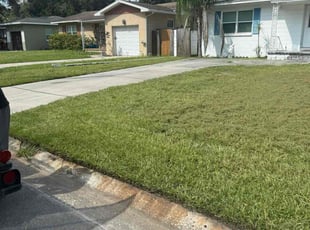 Matthew C.'s lawn maintenance service result