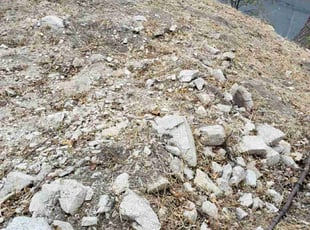 Scott H.'s grass cutting service result