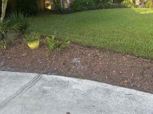 Summer R.'s turf care service result