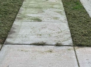 Bobby V.'s lawn service service result