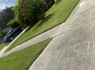 Valerie H.'s turf care service result