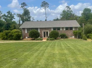 Sandy D.'s grass maintenance service result