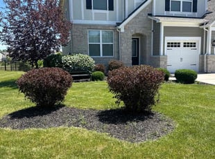 James S.'s Bush Trimming service result