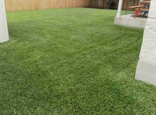 Kelly C.'s gardening service service result
