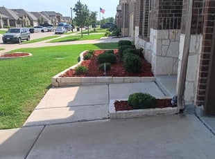Jason G.'s Bush Trimming service result
