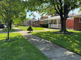 Ben T.'s lawn care services service result