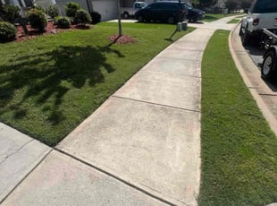 Aaron A.'s lawn care services service result