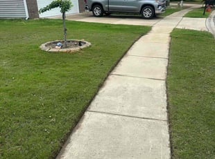Alyssa S.'s turf care service result