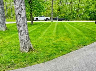 Fitzgerald B.'s lawn care service result