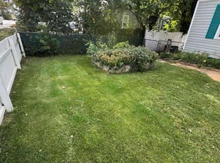 Duane B.'s lawn care service result