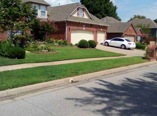 Jackie H.'s turf care service result