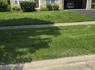 Jordan D.'s lawn care services service result