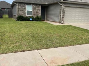 Togu L.'s lawn care services service result