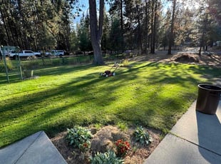 Rena M.'s lawn service service result