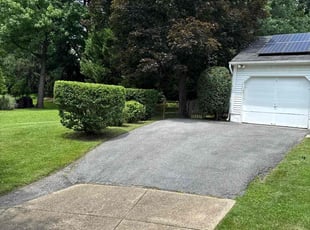 Maura W.'s Bush Trimming service result