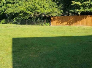 Guy L.'s grass maintenance service result