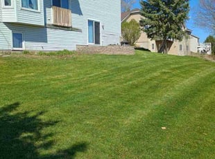 John R.'s turf care service result