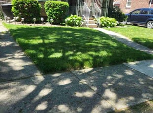 Les P.'s grass maintenance service result